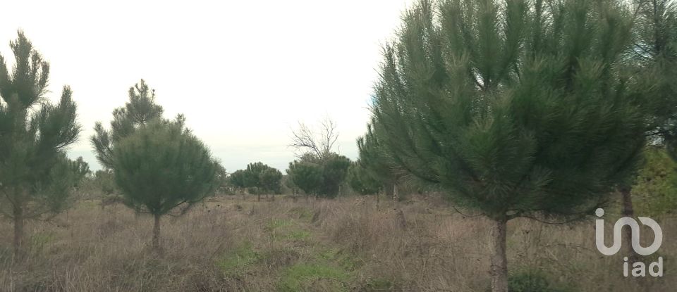 Terrain à Seixo da Beira de 16 000 m²