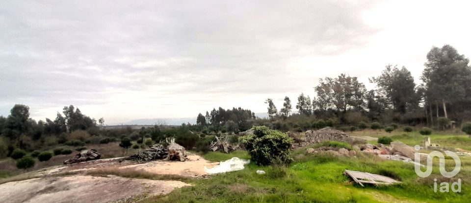 Terrain à Seixo da Beira de 16 000 m²