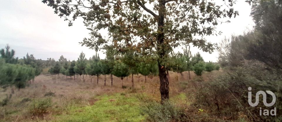 Terrain à Seixo da Beira de 16 000 m²