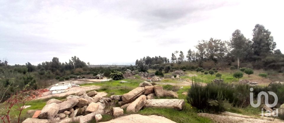 Terrain à Seixo da Beira de 16 000 m²