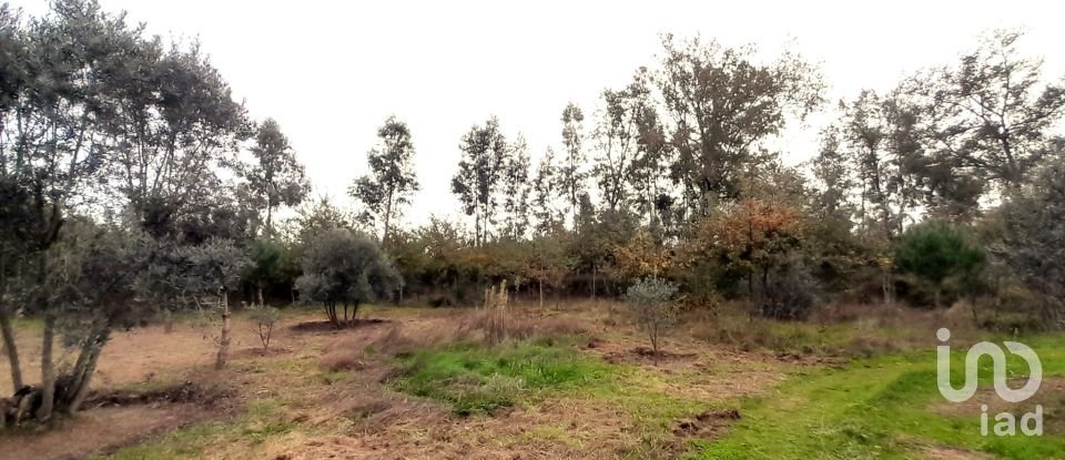 Terrain à Seixo da Beira de 16 000 m²