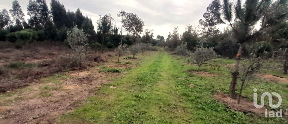 Terrain à Seixo da Beira de 16 000 m²