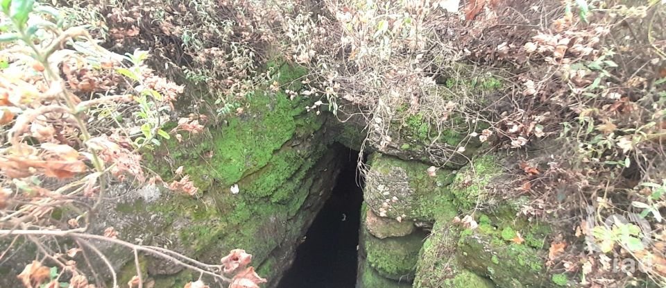 Terrain à Seixo da Beira de 16 000 m²