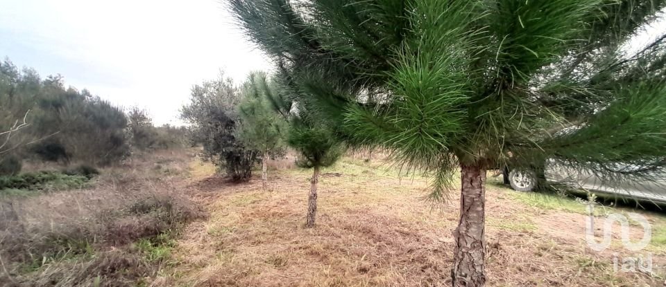 Terrain à Seixo da Beira de 16 000 m²