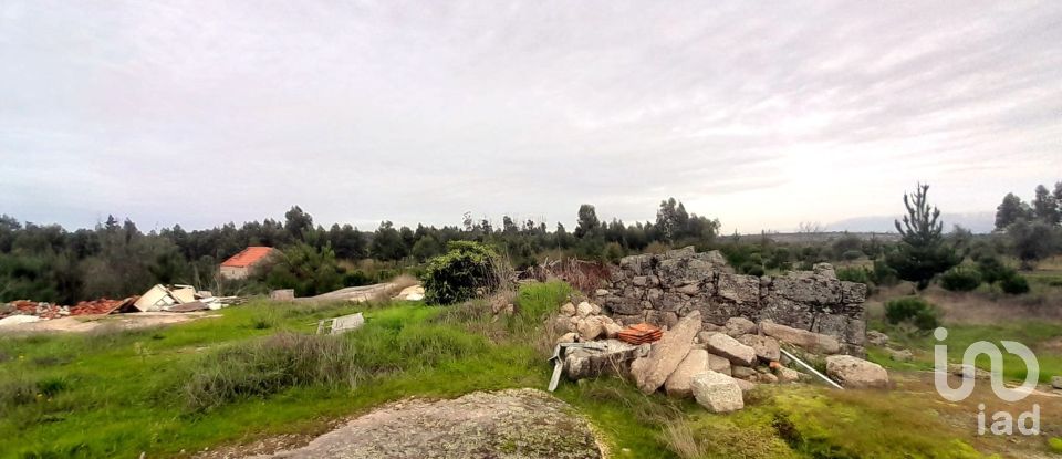 Terrain à Seixo da Beira de 16 000 m²