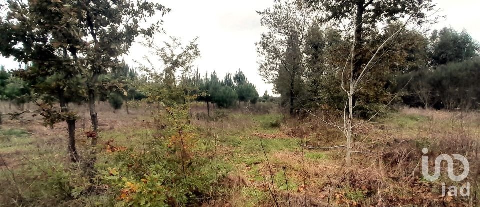 Terrain à Seixo da Beira de 16 000 m²