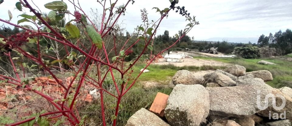 Terrain à Seixo da Beira de 16 000 m²