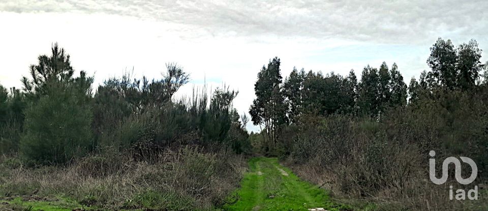 Terrain à Seixo da Beira de 16 000 m²