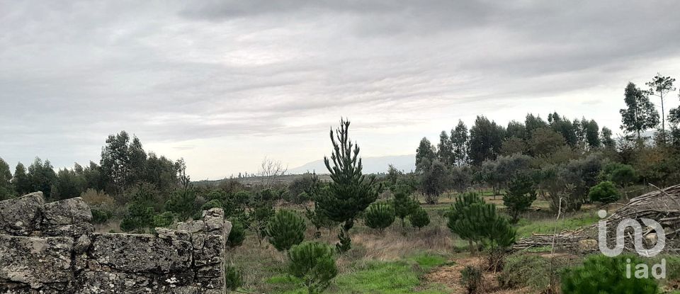 Terrain à Seixo da Beira de 16 000 m²