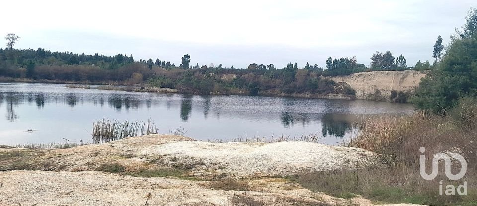 Terrain à Seixo da Beira de 16 000 m²