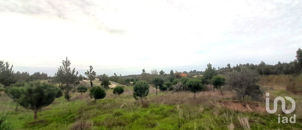 Terrain à Seixo da Beira de 16 000 m²