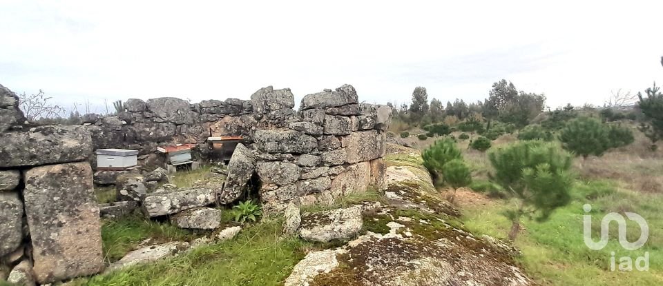 Terrain à Seixo da Beira de 16 000 m²