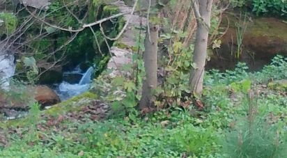 Land in Canas de Senhorim of 540 m²