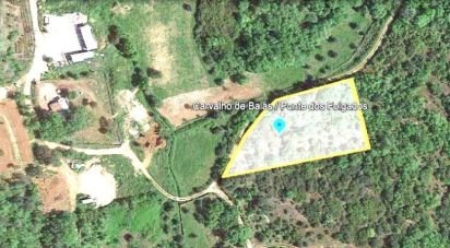 Terrain à Areias e Pias de 3 400 m²