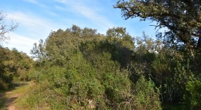 Terrain à Areias e Pias de 3 400 m²