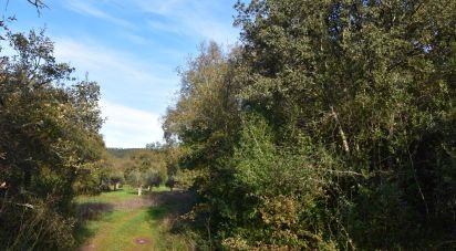 Terrain à Areias e Pias de 3 400 m²