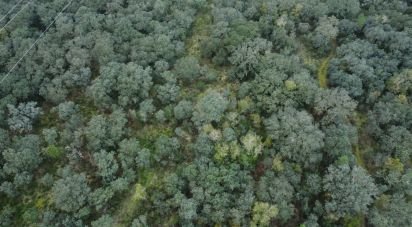 Terrain à Areias e Pias de 1 080 m²