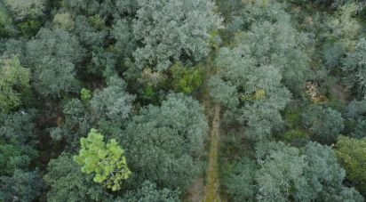 Terrain à Areias e Pias de 1 080 m²