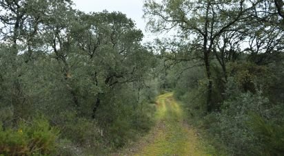 Terrain à Areias e Pias de 1 080 m²