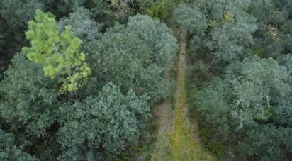 Terrain à Areias e Pias de 1 080 m²