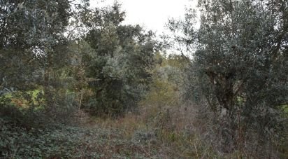 Terrain à Areias e Pias de 1 200 m²