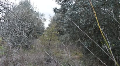 Terrain à Areias e Pias de 1 200 m²