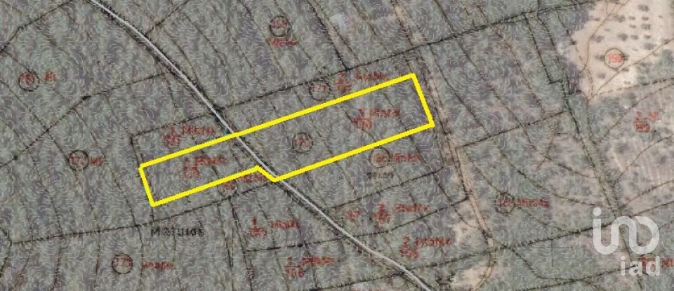 Terreno em Areias e Pias de 5 240 m²