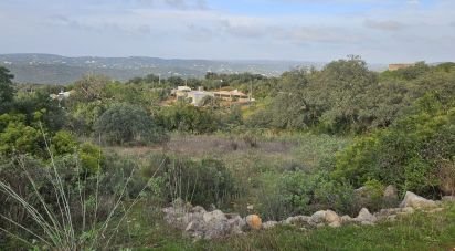 Terrain à Santa Bárbara de Nexe de 1 480 m²
