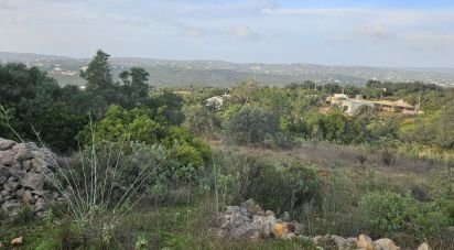 Terrain à Santa Bárbara de Nexe de 1 480 m²