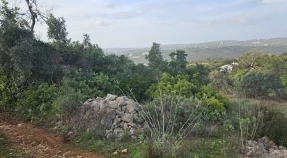 Terrain à Santa Bárbara de Nexe de 1 480 m²