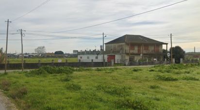 Boutique/Local commercial à Montijo e Afonsoeiro de 9 560 m²