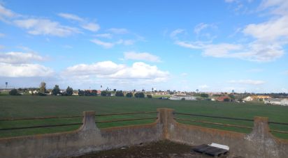 Boutique/Local commercial à Montijo e Afonsoeiro de 9 560 m²