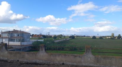 Boutique/Local commercial à Montijo e Afonsoeiro de 9 560 m²