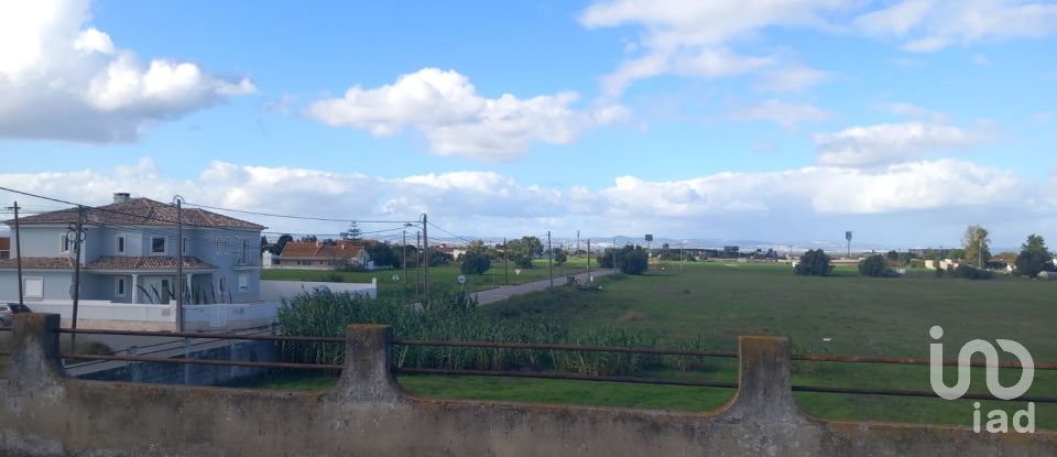 Boutique/Local commercial à Montijo e Afonsoeiro de 9 560 m²