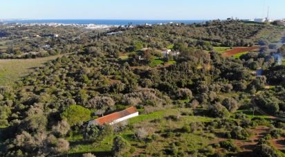 Terrain à bâtir à São Gonçalo De Lagos de 54 800 m²