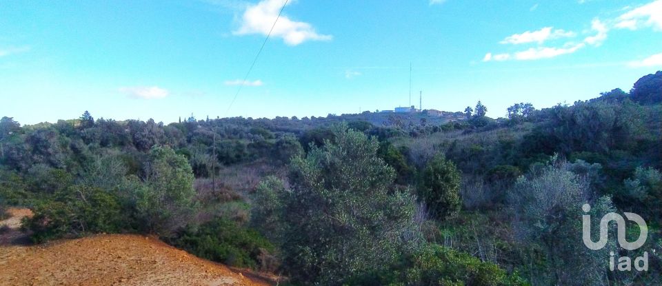 Terreno urbano em São Gonçalo De Lagos de 54 800 m²