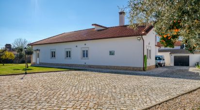 House T4 in Areias e Pias of 234 m²