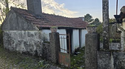 House T3 in Vila meã of 54 m²