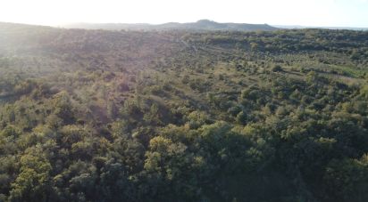 Terrain à Areias e Pias de 2 560 m²