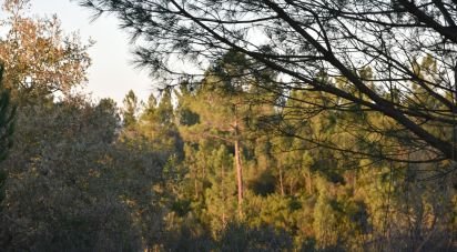 Terrain à Areias e Pias de 5 240 m²