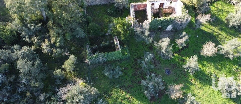 Farm T6 in Chãos of 650 m²