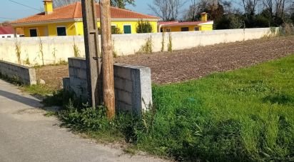 Terrain à Pardilhó de 680 m²