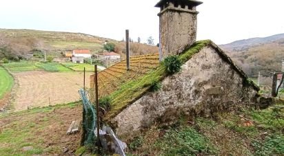 Maison T0 à Fiães de 64 m²