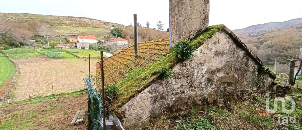 Maison T0 à Fiães de 64 m²