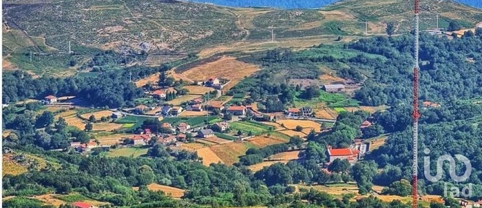 Maison T0 à Fiães de 64 m²