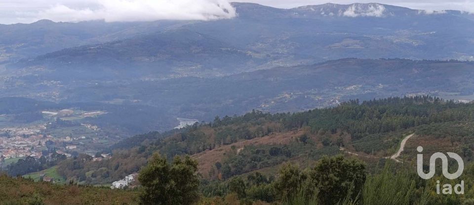 Maison T0 à Fiães de 64 m²