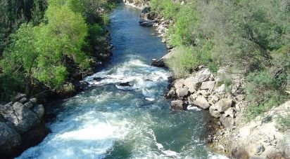 Terrain à Canas de Senhorim de 1 782 m²