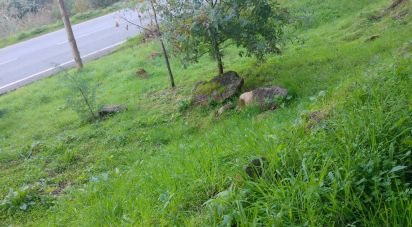 Terrain à Canas de Senhorim de 1 782 m²