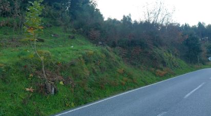 Terrain à Canas de Senhorim de 1 782 m²