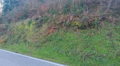 Terrain à Canas de Senhorim de 1 782 m²